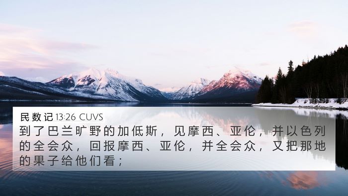 民 数 记 13:26 CUVS Bible Verse Image