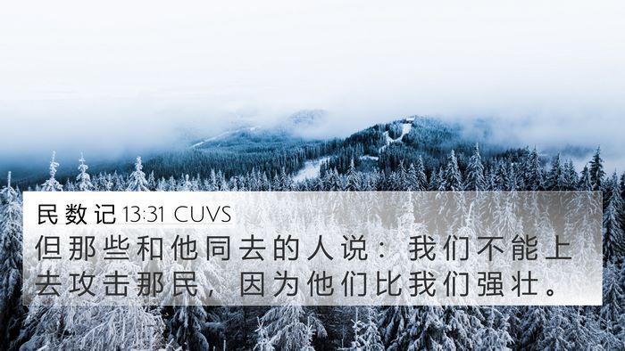 民 数 记 13:31 CUVS 4K Wallpaper - 但 那 些 和 他 同 去 的 人 说 ： 我 - 4K Wallpaper Bible Verse