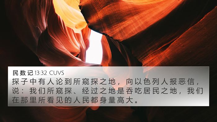 民 数 记 13:32 CUVS Bible Verse Image