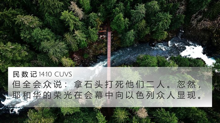 民 数 记 14:10 CUVS Bible Verse Image