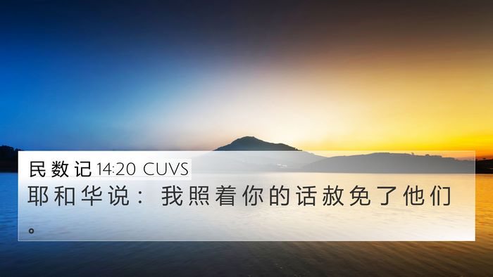 民 数 记 14:20 CUVS Bible Verse Image