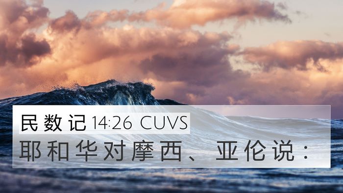 民 数 记 14:26 CUVS 4K Wallpaper - 耶 和 华 对 摩 西 、 亚 伦 说 - 4K Wallpaper Bible Verse