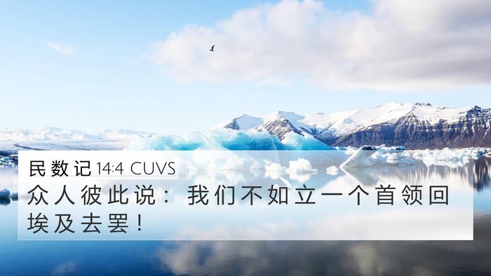 民 数 记 14:4 CUVS Bible Verse Image