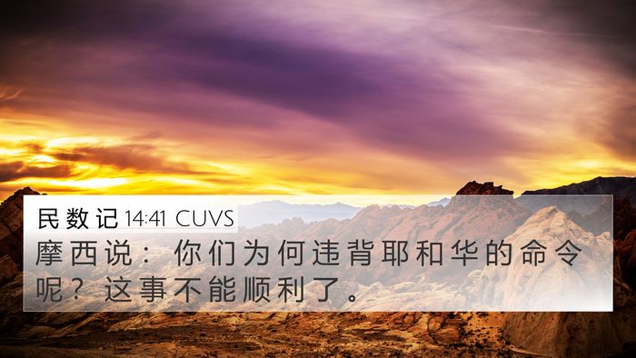 民 数 记 14:41 CUVS 4K Wallpaper - 摩 西 说 ： 你 们 为 何 违 背 耶 和 - 4K Wallpaper Bible Verse
