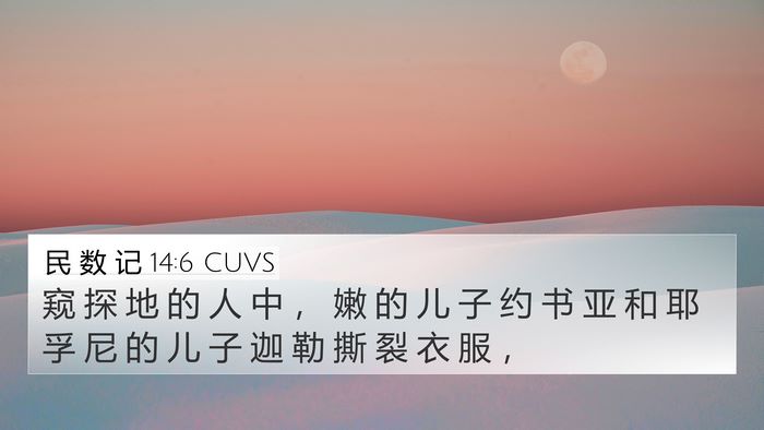 民 数 记 14:6 CUVS Bible Verse Image