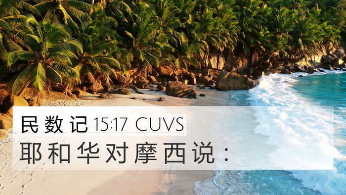 民 数 记 15:17 CUVS Bible Verse Image
