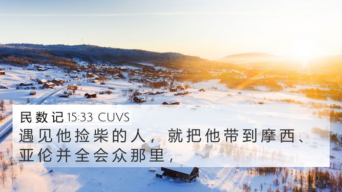 民 数 记 15:33 CUVS Bible Verse Image