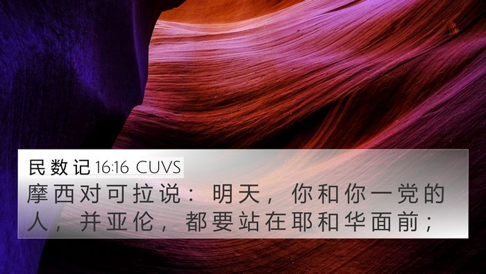 民 数 记 16:16 CUVS Bible Verse Image