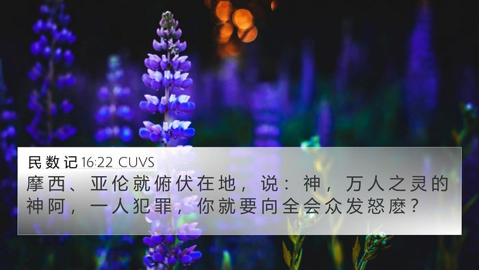 民 数 记 16:22 CUVS Bible Verse Image