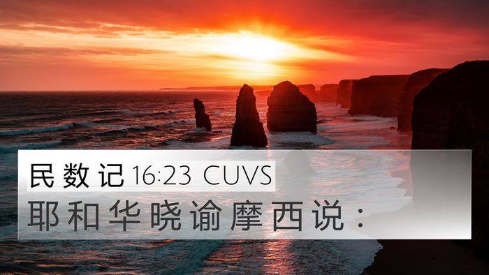 民 数 记 16:23 CUVS Bible Verse Image