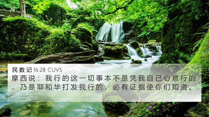 民 数 记 16:28 CUVS Bible Verse Image