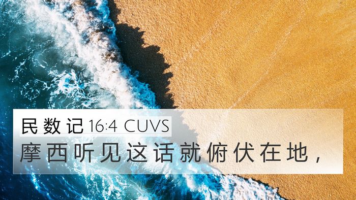 民 数 记 16:4 CUVS 4K Wallpaper - 摩 西 听 见 这 话 就 俯 伏 在 地 - 4K Wallpaper Bible Verse