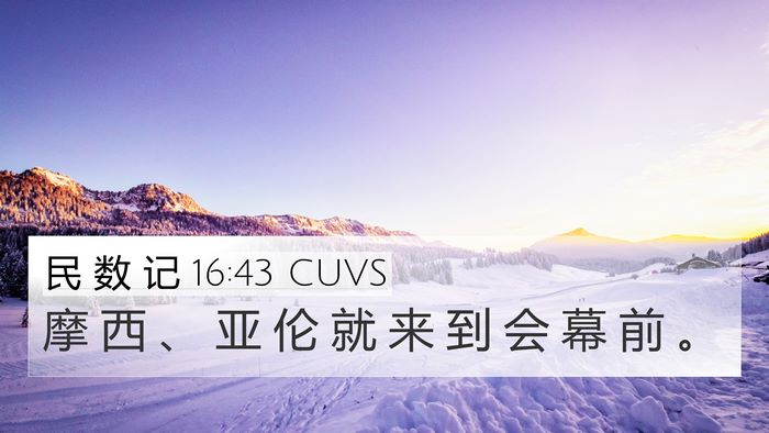 民 数 记 16:43 CUVS Bible Verse Image