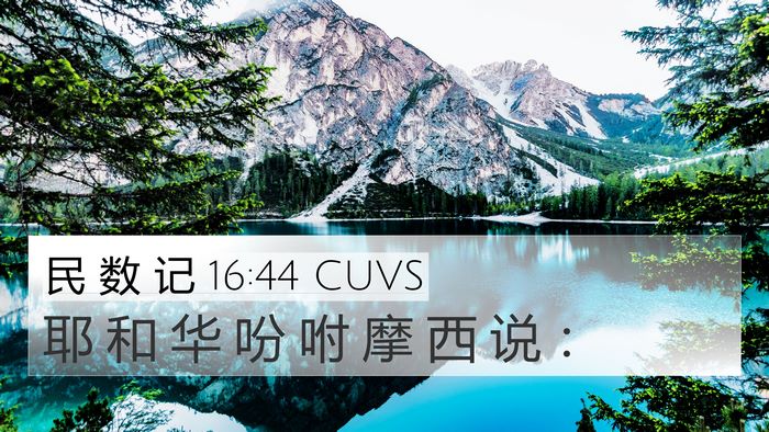 民 数 记 16:44 CUVS Bible Verse Image
