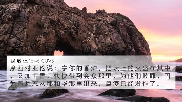 民 数 记 16:46 CUVS Bible Verse Image