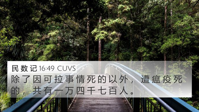 民 数 记 16:49 CUVS Bible Verse Image