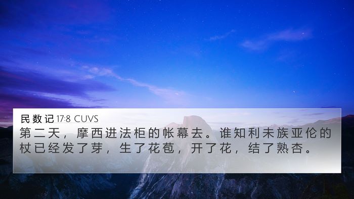 民 数 记 17:8 CUVS Bible Verse Image