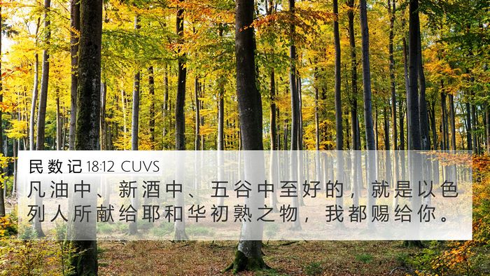 民 数 记 18:12 CUVS 4K Wallpaper - 凡 油 中 、 新 酒 中 、 五 谷 中 至 - 4K Wallpaper Bible Verse