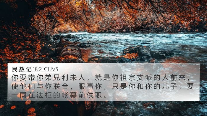 民 数 记 18:2 CUVS Bible Verse Image