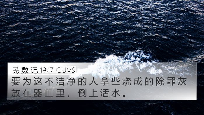 民 数 记 19:17 CUVS 4K Wallpaper - 要 为 这 不 洁 净 的 人 拿 些 烧 成 - 4K Wallpaper Bible Verse