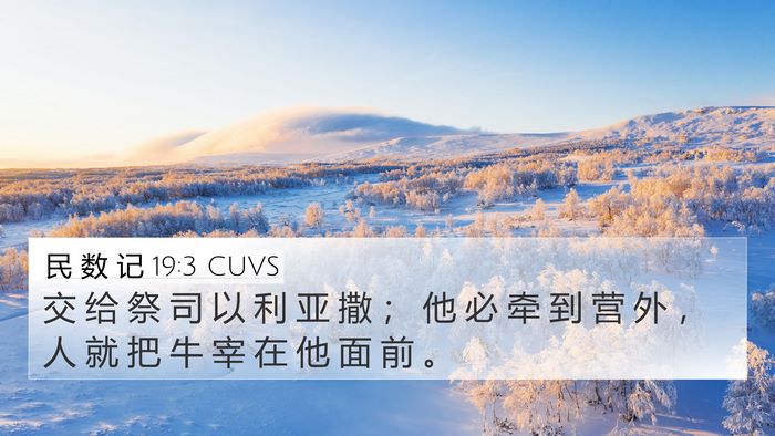 民 数 记 19:3 CUVS Bible Verse Image