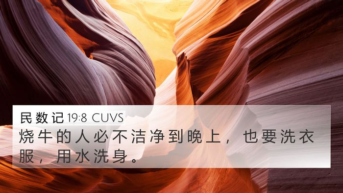 民 数 记 19:8 CUVS Bible Verse Image