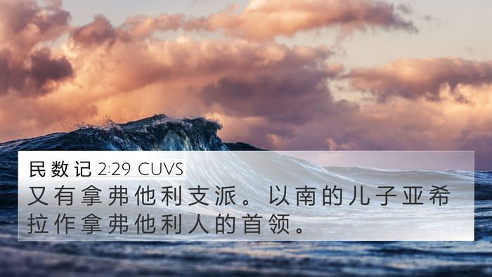 民 数 记 2:29 CUVS 4K Wallpaper - 又 有 拿 弗 他 利 支 派 。 以 南 的 - 4K Wallpaper Bible Verse