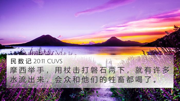 民 数 记 20:11 CUVS Bible Verse Image