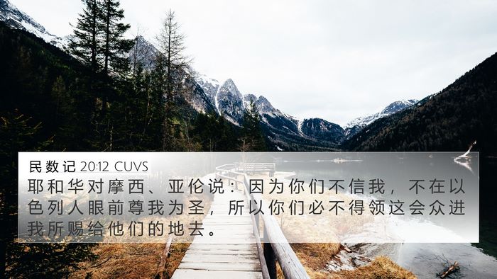 民 数 记 20:12 CUVS Bible Verse Image