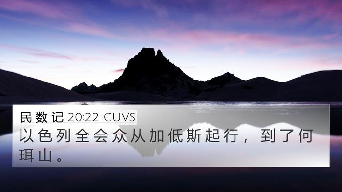 民 数 记 20:22 CUVS Bible Verse Image