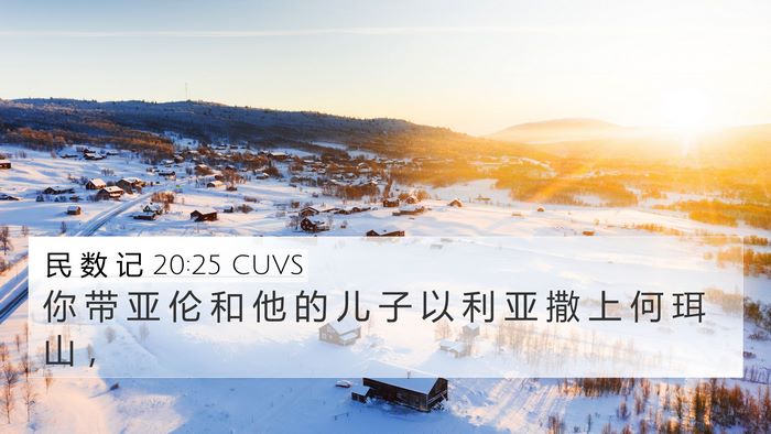 民 数 记 20:25 CUVS 4K Wallpaper - 你 带 亚 伦 和 他 的 儿 子 以 利 亚 - 4K Wallpaper Bible Verse