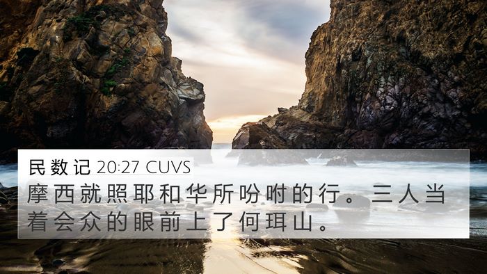 民 数 记 20:27 CUVS Bible Verse Image