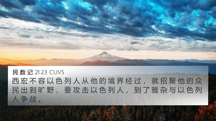 民 数 记 21:23 CUVS Bible Verse Image