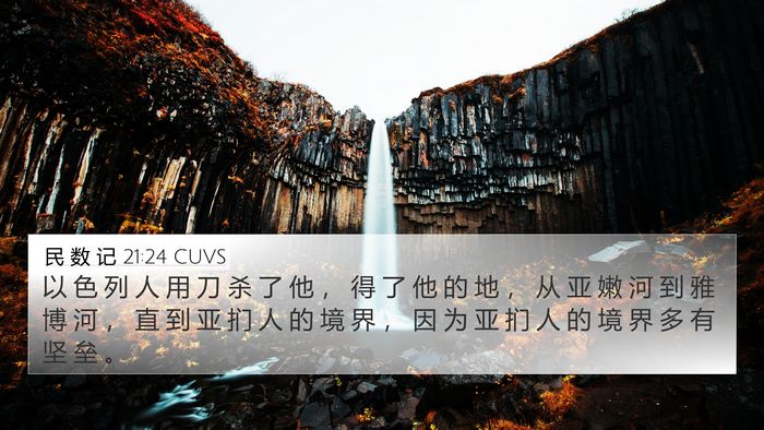 民 数 记 21:24 CUVS Bible Verse Image