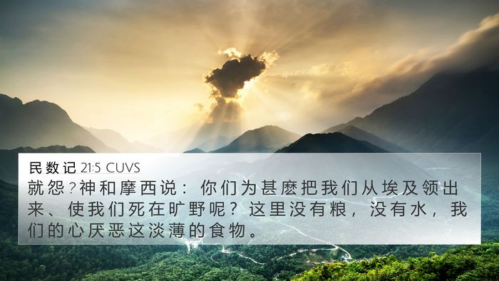 民 数 记 21:5 CUVS Bible Verse Image
