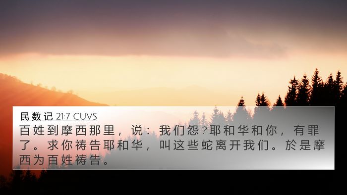 民 数 记 21:7 CUVS Bible Verse Image