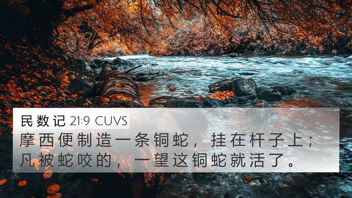 民 数 记 21:9 CUVS 4K Wallpaper - 摩 西 便 制 造 一 条 铜 蛇 ， 挂 在 - 4K Wallpaper Bible Verse
