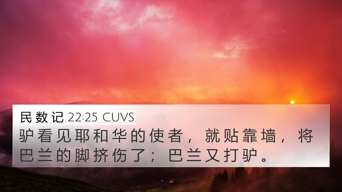 民 数 记 22:25 CUVS 4K Wallpaper - 驴 看 见 耶 和 华 的 使 者 ， 就 贴 - 4K Wallpaper Bible Verse