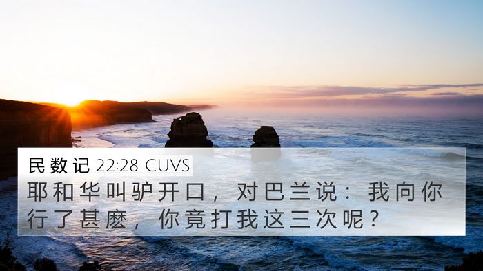 民 数 记 22:28 CUVS Bible Verse Image