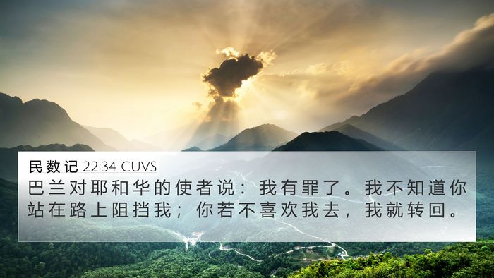民 数 记 22:34 CUVS 4K Wallpaper - 巴 兰 对 耶 和 华 的 使 者 说 ： 我 - 4K Wallpaper Bible Verse
