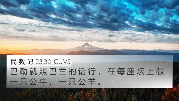 民 数 记 23:30 CUVS Bible Verse Image