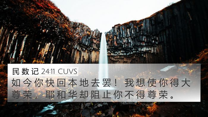 民 数 记 24:11 CUVS Bible Verse Image