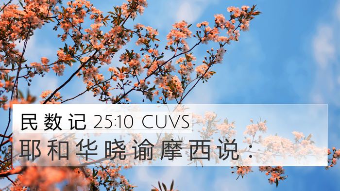 民 数 记 25:10 CUVS 4K Wallpaper - 耶 和 华 晓 谕 摩 西 说 - 4K Wallpaper Bible Verse