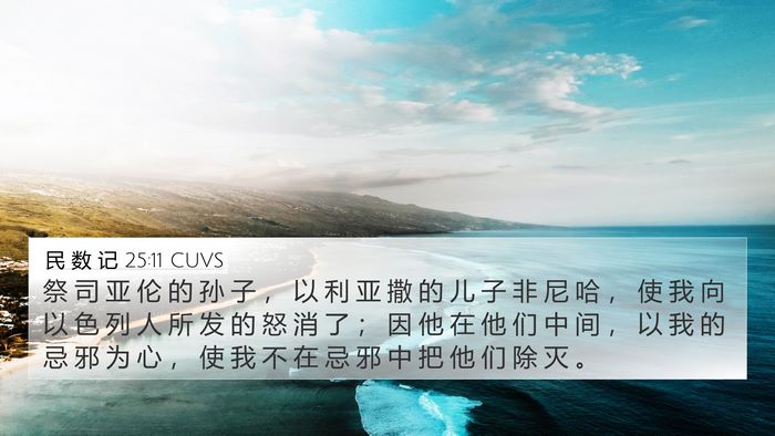 民 数 记 25:11 CUVS Bible Verse Image