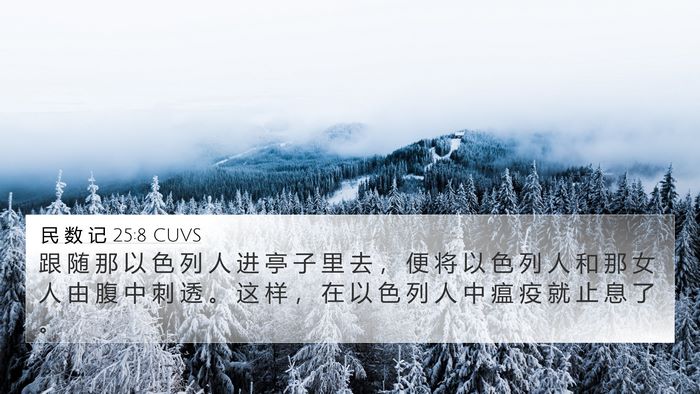 民 数 记 25:8 CUVS Bible Verse Image