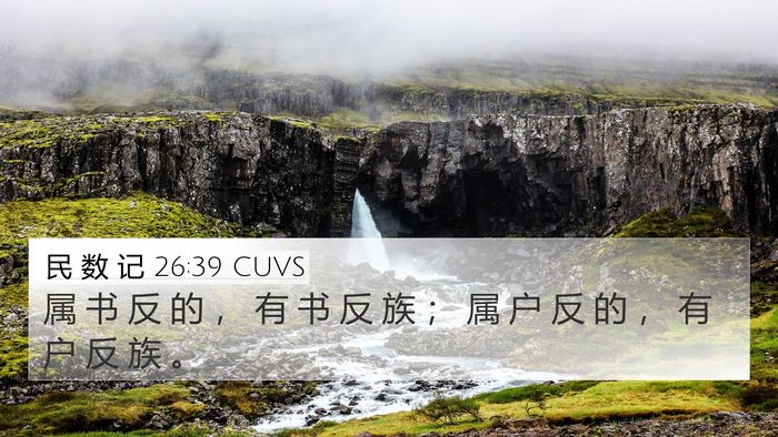 民 数 记 26:39 CUVS 4K Wallpaper - 属 书 反 的 ， 有 书 反 族 ； 属 户 - 4K Wallpaper Bible Verse