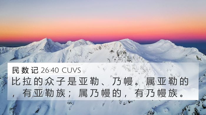 民 数 记 26:40 CUVS Bible Verse Image