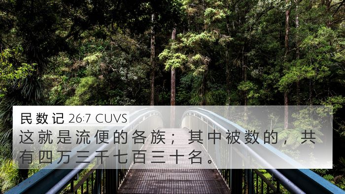 民 数 记 26:7 CUVS Bible Verse Image