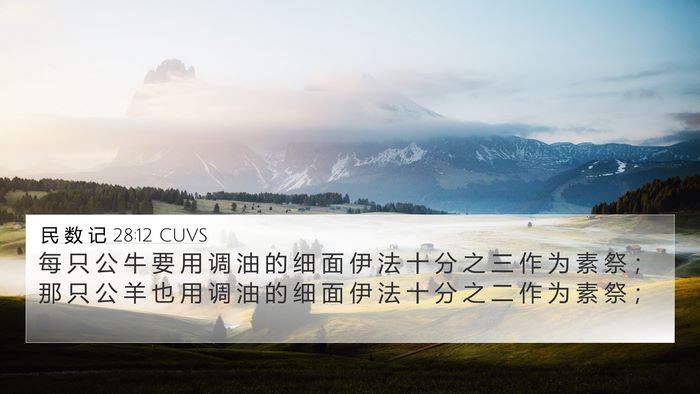 民 数 记 28:12 CUVS Bible Verse Image