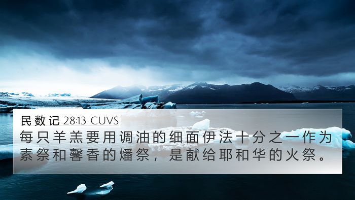 民 数 记 28:13 CUVS 4K Wallpaper - 每 只 羊 羔 要 用 调 油 的 细 面 伊 - 4K Wallpaper Bible Verse